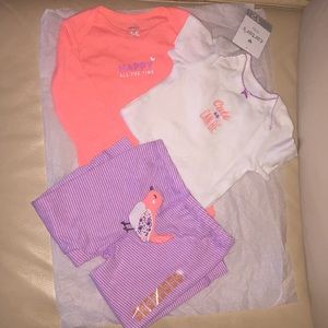 Carter's Baby Girl 3 piece set